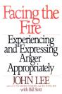 Facing The Fire - Preview