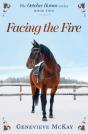 Facing The Fire - Preview