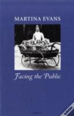 Capa do artigo Facing The Public