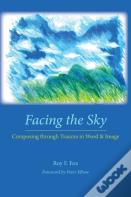 Facing The Sky