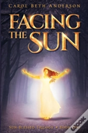 Capa do artigo Facing The Sun