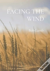 Capa do artigo Facing The Wind