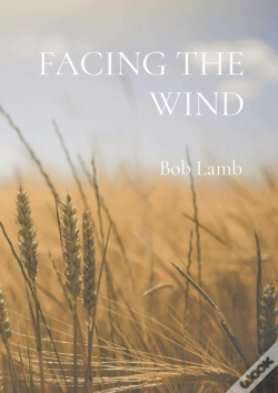 Capa do artigo Facing The Wind