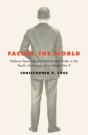 Facing The World - Preview