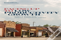 Facing Up To Low Productivity Growth
