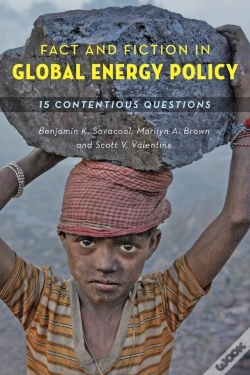 Capa do artigo Fact And Fiction In Global Energy Policy
