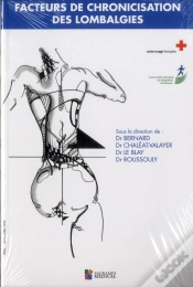 Capa do artigo Facteurs De Chronicisation Des Lombalgies