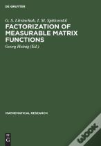Factorization Of Measurable Matrix Functions