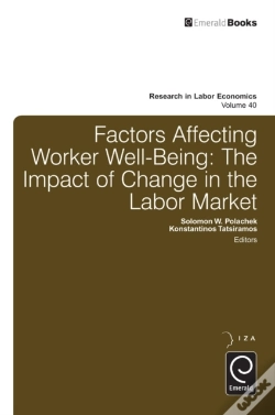 Capa do artigo Factors Affecting Worker Well-Being