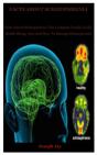 Facts About Schizophrenia - Preview