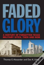 Capa do artigo Faded Glory