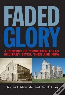 Capa do artigo Faded Glory