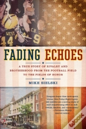 Capa do artigo Fading Echoes