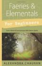 Faeries And Elementals For Beginners - Preview