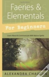 Capa do artigo Faeries And Elementals For Beginners
