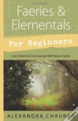 Capa do artigo Faeries And Elementals For Beginners