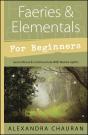 Faeries & Elementals For Beginners - Preview