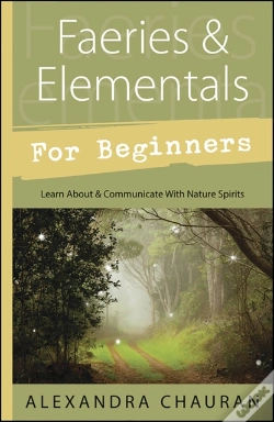 Capa do artigo Faeries & Elementals For Beginners