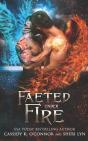 Faeted Under Fire - Preview