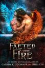 Faeted Under Fire - Preview