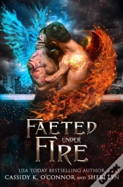 Capa do artigo Faeted Under Fire