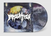 Capa do artigo Failures for Gods - Vinil