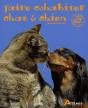 Faire Cohabiter Chien Et Chat - Preview
