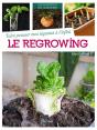 Faire Pousser Mes Legumes A L'Infini : Le Regrowing - Preview