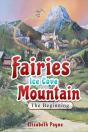 Fairies Ice Cove Mountain - Preview