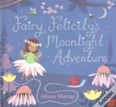 Fairy Felicity'S Moonlight Adventure