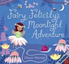 Fairy Felicity'S Moonlight Adventure