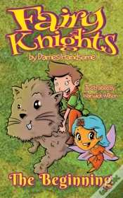 Capa do artigo Fairy Knights