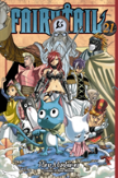 Fairy Tail 21
