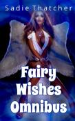 Fairy Wishes Omnibus