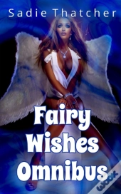 Fairy Wishes Omnibus