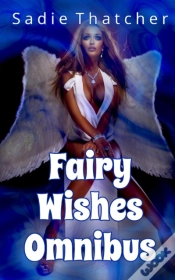 Capa do artigo Fairy Wishes Omnibus