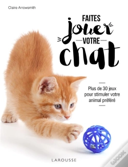 Capa do artigo Faites Jouer Votre Chat !