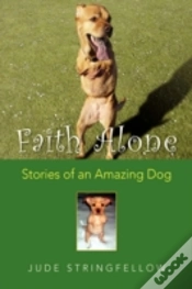 Capa do artigo Faith Alone