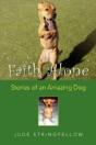 Faith Alone - Preview