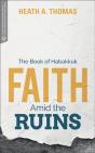 Faith Amid The Ruins - Preview