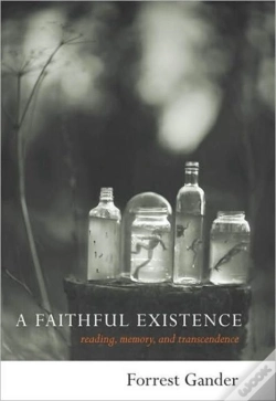 Capa do artigo Faithful Existence