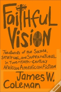 Capa do artigo Faithful Vision