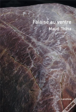 Capa do artigo Falaise Au Ventre