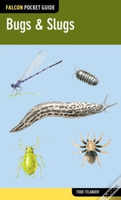 Capa do artigo Falcon Pocket Guide: Bugs & Slugs