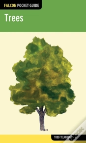 Capa do artigo Falcon Pocket Guide: Trees