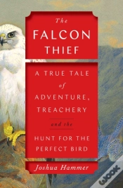 Capa do artigo Falcon Thief