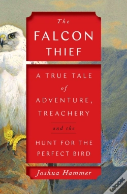 Capa do artigo Falcon Thief