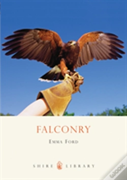 Capa do artigo Falconry