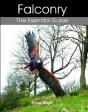 Falconry - Preview