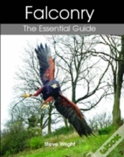 Capa do artigo Falconry